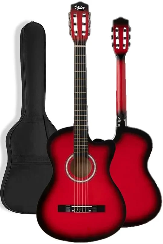 Gitar Notaları