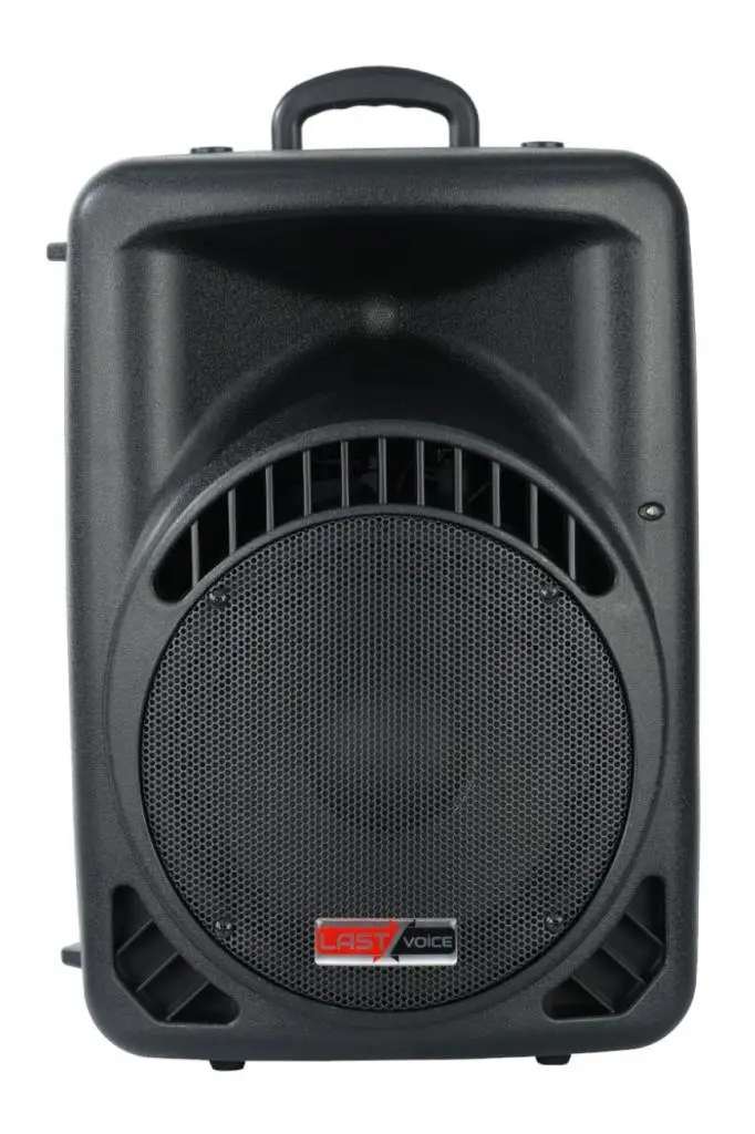 Lastvoice Ample-10A Aktif Kabin Hoparlör 10 İnç 600 Watt Bluetooth Usb