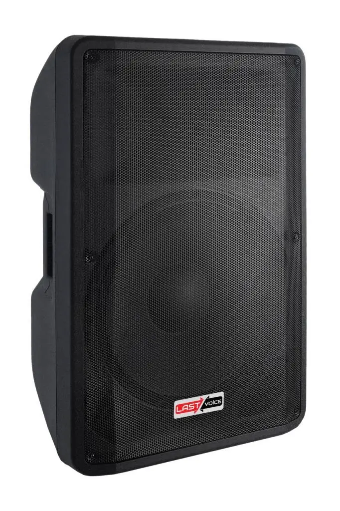 Lastvoice LP-15X-ST Profesyonel Ayaklı Pasif Kabin Hoparlör 15`` 1000 Watt