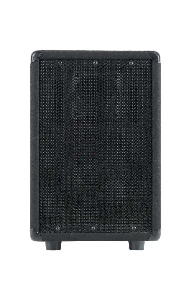 Lastvoice LPM-08 Ahşap Profesyonel Kabin Hoparlör 8 inç 350W