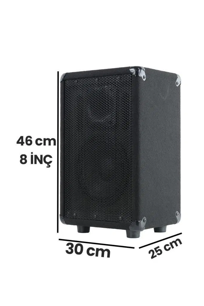 Lastvoice LPM-08 Ahşap Profesyonel Kabin Hoparlör 8 inç 350W