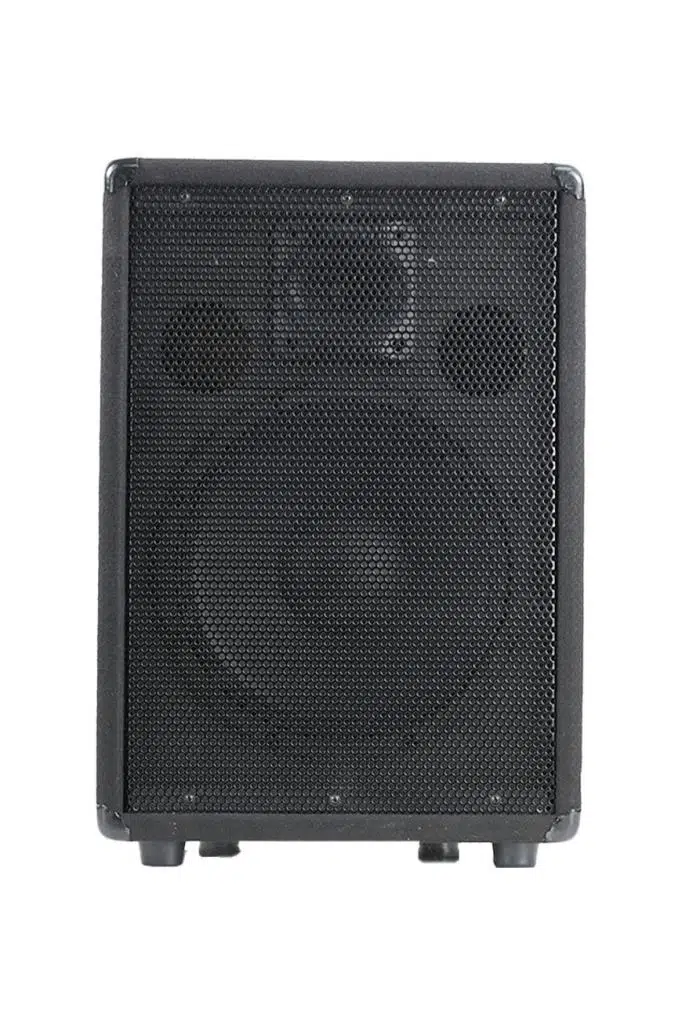 Lastvoice LPM-10 Ahşap Profesyonel Kabin Hoparlör 10 inç 450W