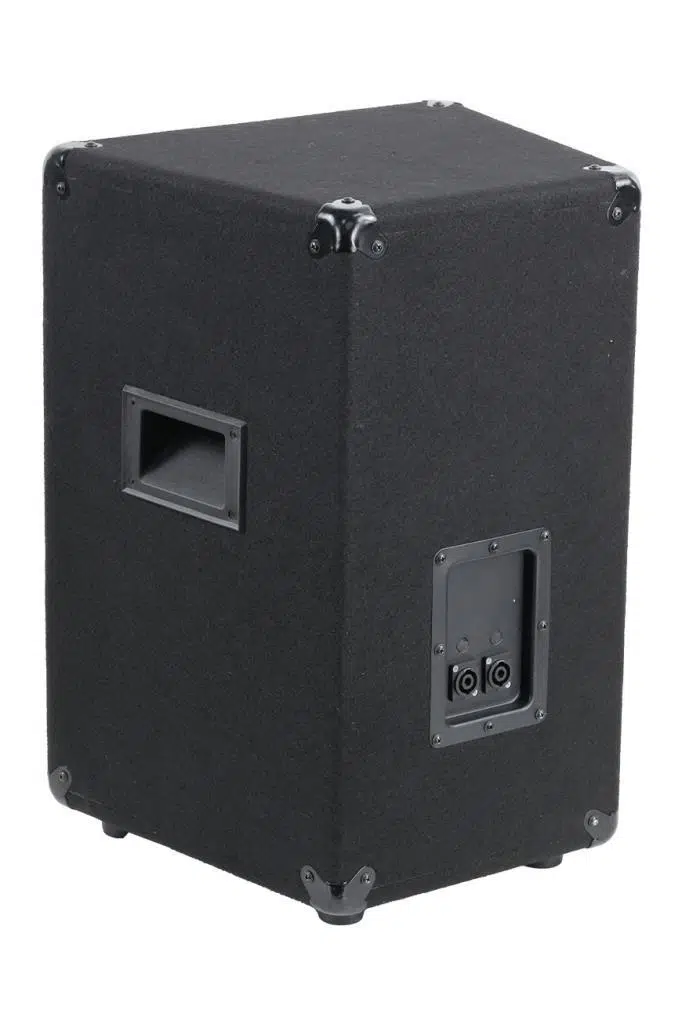 Lastvoice LPM-10 Ahşap Profesyonel Kabin Hoparlör 10 inç 450W