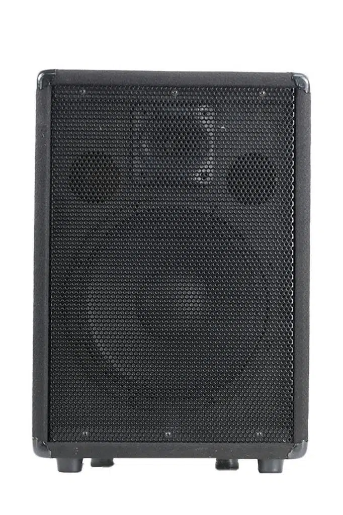 Lastvoice LPM-12 Ahşap Profesyonel Kabin Hoparlör 12 inç 800W
