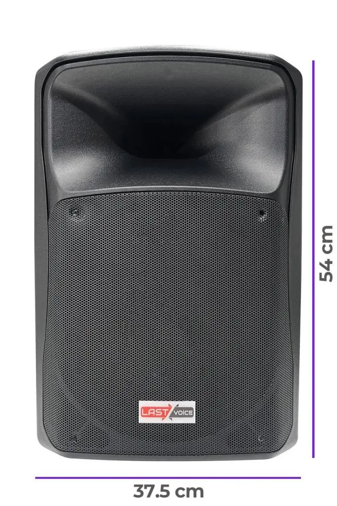 Lastvoice Lx-10ST Duvara Asılabilen Kabin Hoparlör + Askı Aparatı