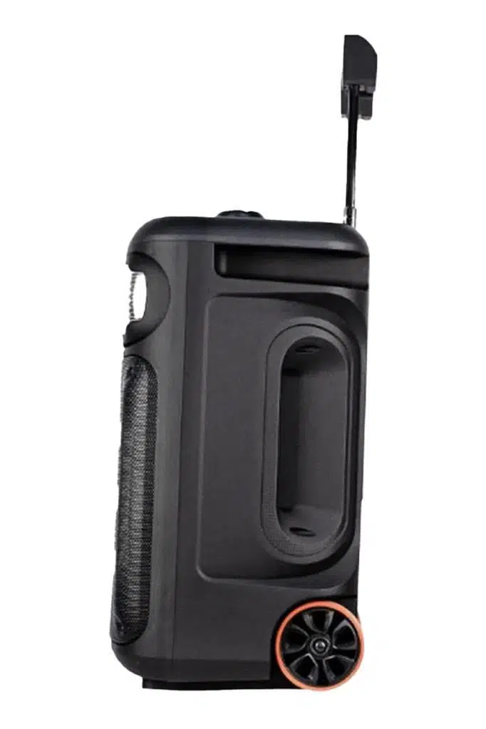 Midex 1300 Watt Ekholu Kablosuz Mikrofonlu Şarjlı Mevlüt Anfisi MXR-1300 (Bluetoth Usb)