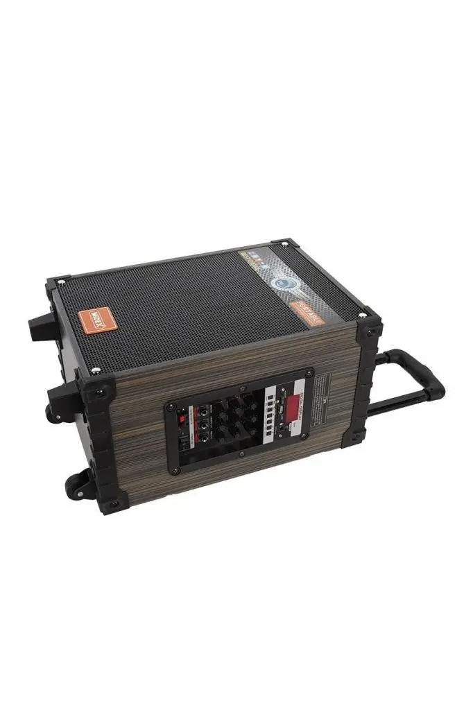 Midex 350 Watt Şarjlı Taşınabilir Büyük Mevlüt Anfisi Çift Mikrofonlu (MR-350)