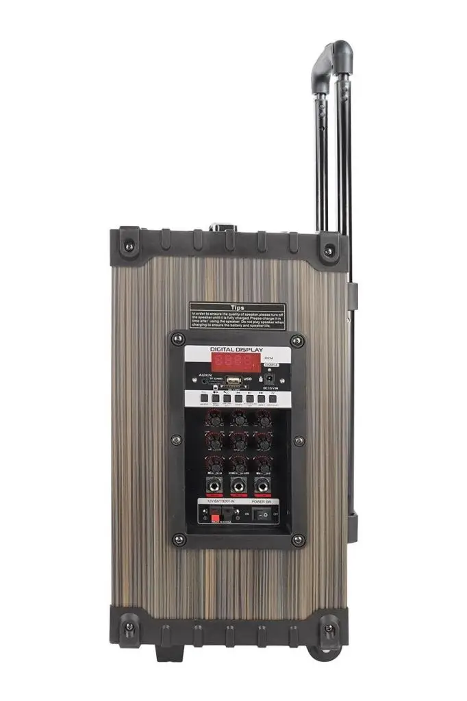 Midex 350 Watt Şarjlı Taşınabilir Büyük Mevlüt Anfisi Çift Mikrofonlu (MR-350)